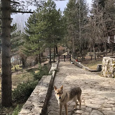 Gasthof Affittacamere 7nani Barrea